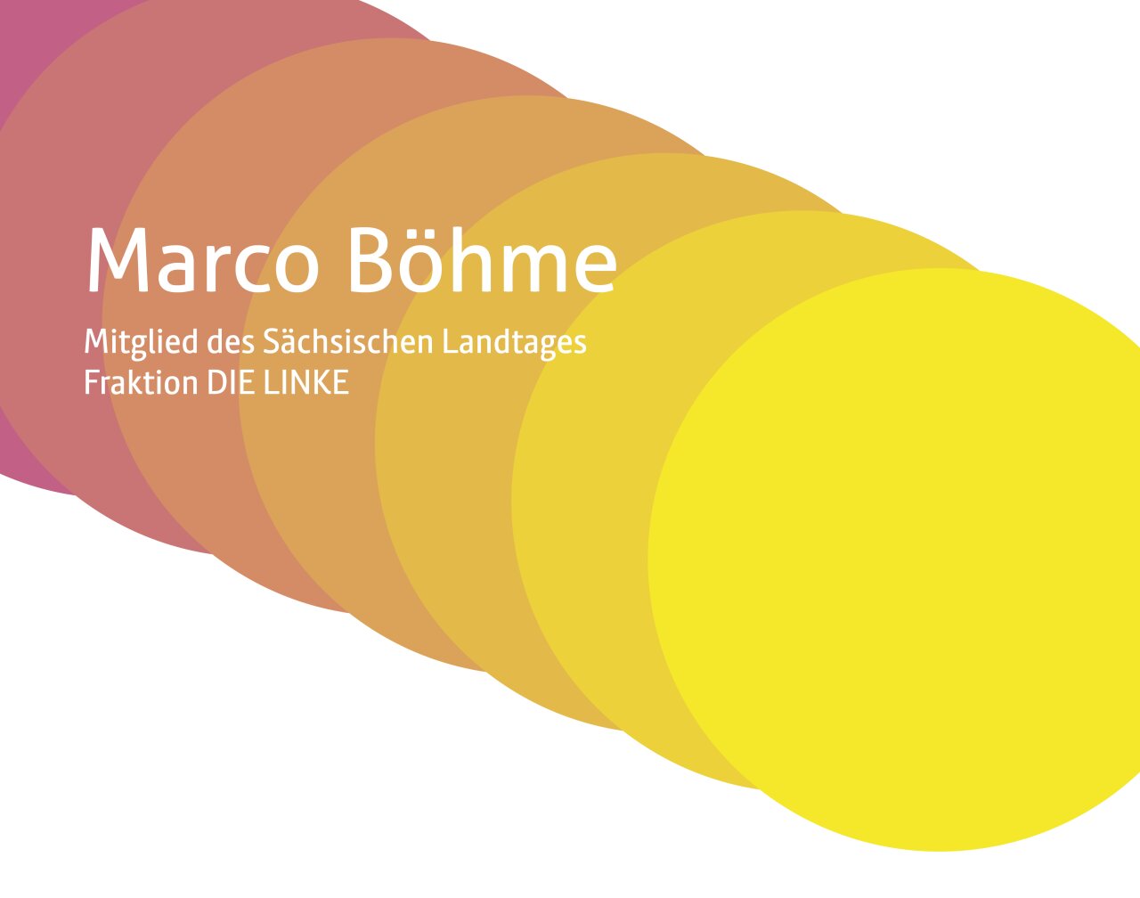 Marco Böhme, Mitglied des Sächsischen Landtages - Fraktion DIE LINKE.