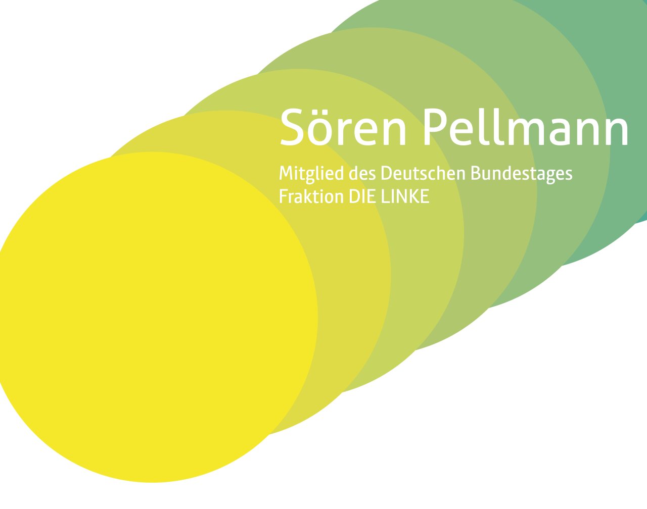 Sören Pellmann, Mitglied des Deutschen Bundestages - Fraktion DIE LINKE.