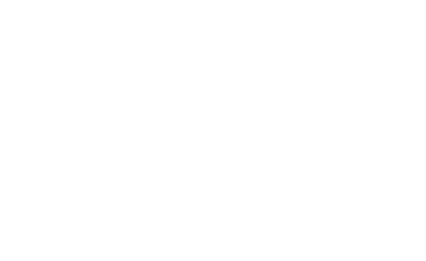 Wir für Sachsen